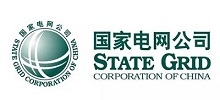 国度电网