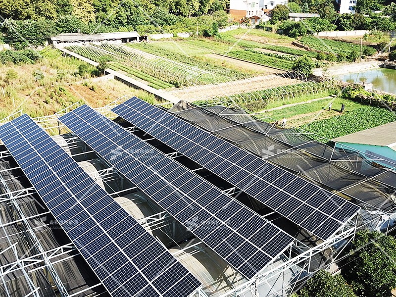 湖北不朽情缘绿色能源有限公司