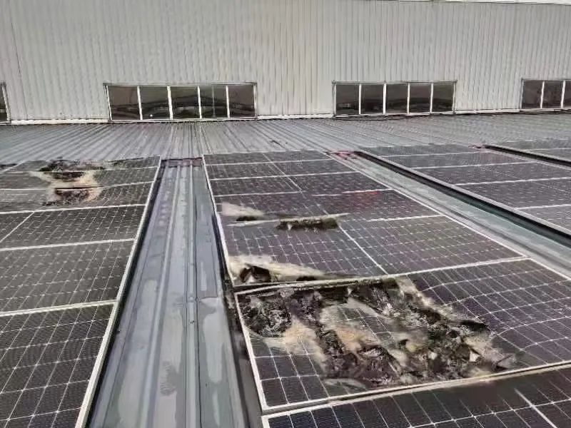 湖北不朽情缘绿色能源有限公司